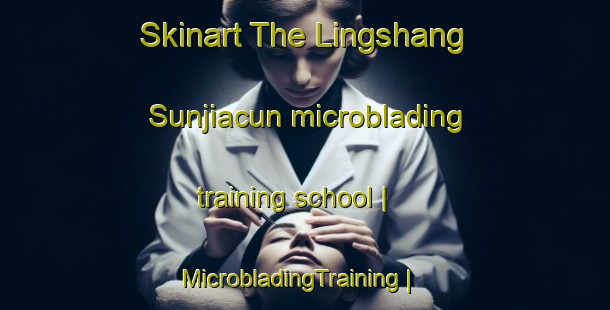 Skinart The Lingshang Sunjiacun microblading training school | MicrobladingTraining | MicrobladingClasses | SkinartTraining-China